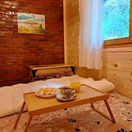 Brvnara, Bogutovacka Banja *