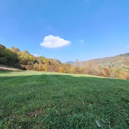 別荘 Brvnara, Bogutovacka Banja Bogutovac