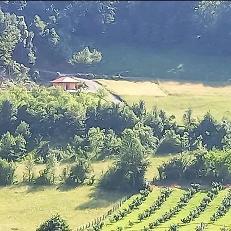 Brvnara, Bogutovacka Banja * Bogutovac