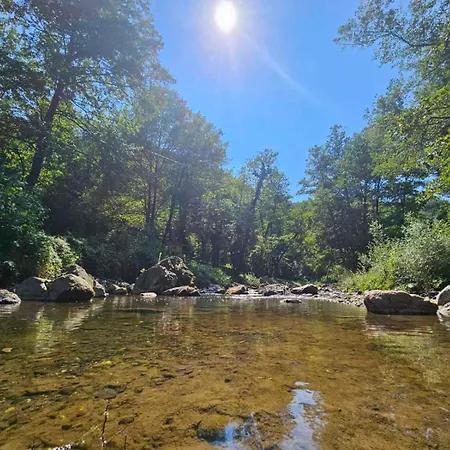 Brvnara, Bogutovacka Banja