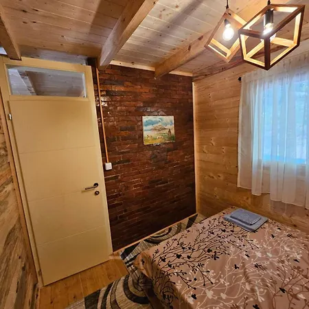 Brvnara, Bogutovacka Banja 別荘