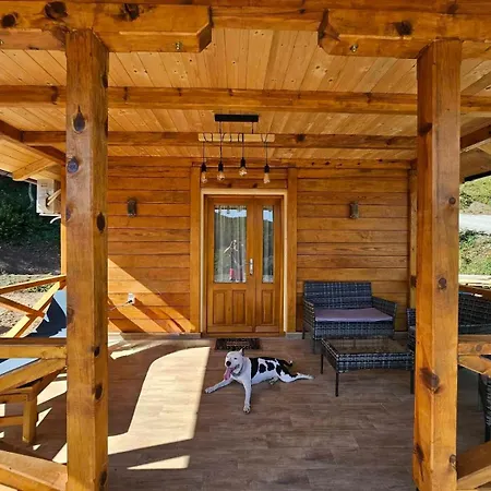 Brvnara, Bogutovacka Banja