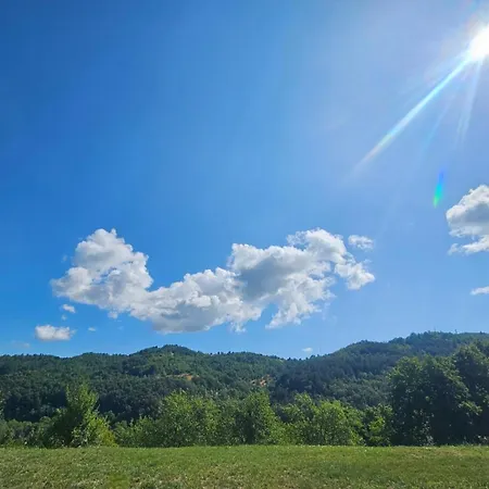 Brvnara, Bogutovacka Banja 別荘 Bogutovac