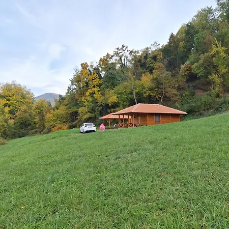 Brvnara, Bogutovacka Banja 別荘